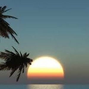 Meet your Posher, Lizzie